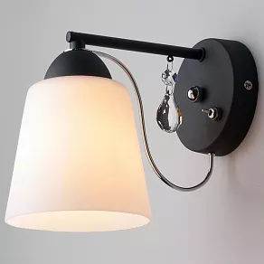 Бра Eurosvet Campana 70094/1 черный