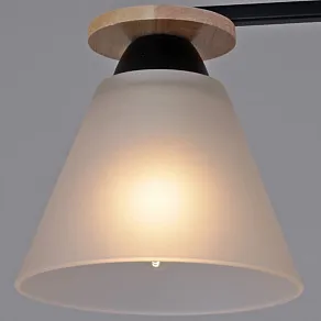 Светильник на штанге Reluce 11630 11630-0.3-03 BK+WOOD