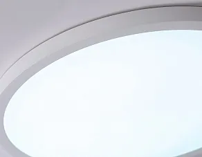 Накладной светильник Ambrella Light FZ FZ1959