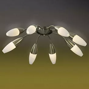 Потолочная люстра Odeon Light Chikko 2013/8C