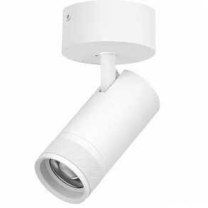 Спот Lightstar Canno Pro C4306SO