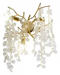 Бра Favourite Parra 4161-3W