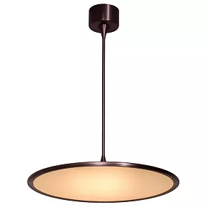 Подвесной светильник L'Arte Luce  L21861.88