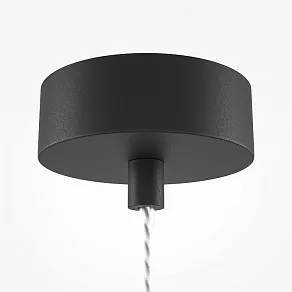 Подвесной светильник Maytoni Mood MOD172PL-01B