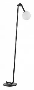 Торшер Lumion Dexter 6500/1F