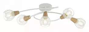 Потолочная люстра Rivoli Naturale S5 WT Б0038094