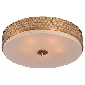 Накладной светильник Divinare Biscotto 4005/01 PL-4