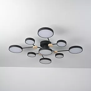 Потолочная люстра Imperiumloft GAMMA gamma01