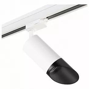 Светильник на штанге Lightstar Rullo R3T43637