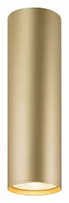 Накладной светильник Denkirs Tube DK2052-SG