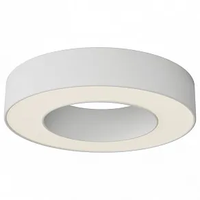 Накладной светильник Maytoni Technical Lua C093CL-24W3K-W
