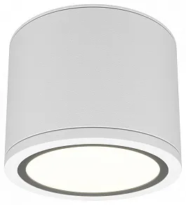 Накладной светильник Maytoni Rendo C095CL-GX53-W