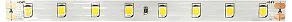 Лента светодиодная SWG PRO SWG2P80 SWG2P80-24-7.2-NW