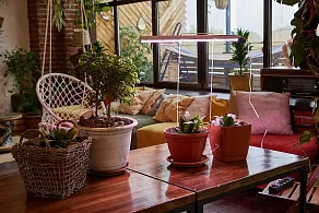 Светильник для растений Uniel ULI-P UL-00010566