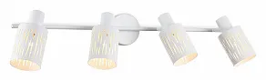 Спот Ambrella Light TR TR8666