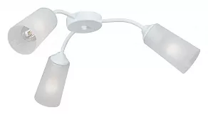 Потолочная люстра Vitaluce V3758 V3758-0/3PL