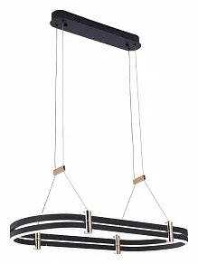 Подвесной светильник Zortes DUBLE-R ZRS.30505.92