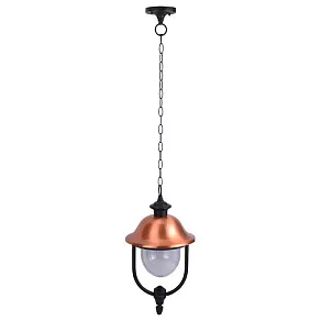 Подвесной светильник Arte Lamp Barcelona A1485SO-1BK