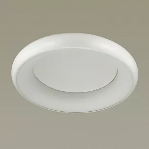 Накладной светильник Odeon Light Rondo 4063/40CL