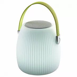 Настольная лампа-ночник Favourite Speaker 2128-1T