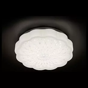 Накладной светильник Ambrella Simple 1 F555 WH 15W 4200K D300