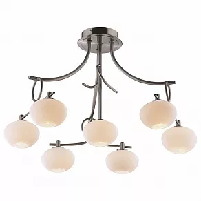 Потолочная люстра Odeon Light Rondo 1813/7C