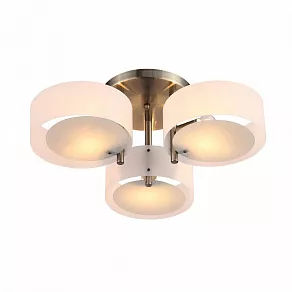 Потолочная люстра EVOLUCE Foresta SL483.352.03
