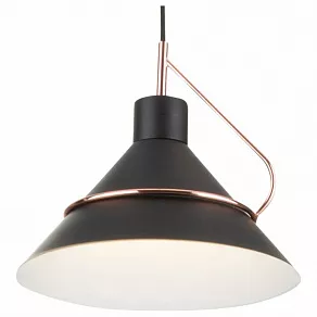 Подвесной светильник Freya Amis FR5025PL-01B