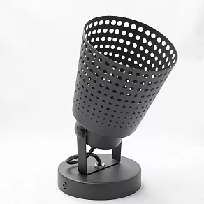 Спот Lussole Erie GRLSP-9834