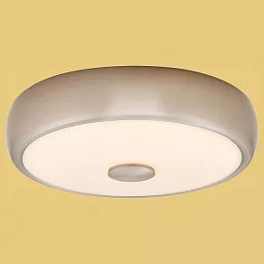 Накладной светильник Citilux Фостер-3 CL706321