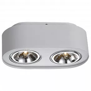 Накладной светильник Arte Lamp Cliff A5643PL-2WH