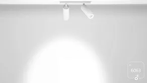 Спот 6063 Trunk Duo 1030802