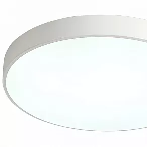 Накладной светильник Zortes Tortty ZRS.02564.96