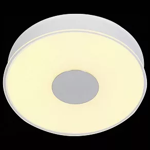 Накладной светильник ST-Luce Semplicita SL473.052.01D