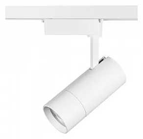 Светильник на штанге Lightstar Volta 229346