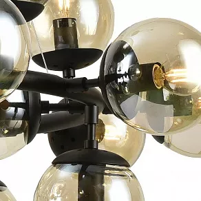 Подвесной светильник Arte Lamp 1664 A1664SP-25BK