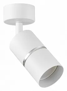 Спот Lampit ASTI TS TK40-C1 WT+CHR