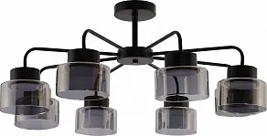 Люстра на штанге Rivoli Marsha 9193-308