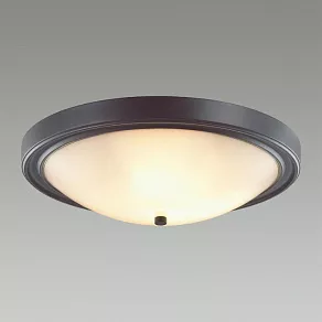 Накладной светильник Lumion Nina 5260/4C