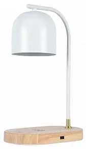 Настольная лампа офисная Zortes DESKLIGHT ZRS.1066.02