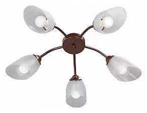 Потолочная люстра Vitaluce V3750 V3750-7/5PL