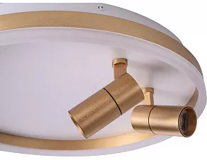 Накладной светильник Zortes Raizy ZRS.1888.02