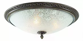 Накладной светильник ST-Luce Fascino SL135.402.04