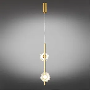 Подвесной светильник Aployt Tereze APL.074.06.02