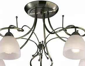 Потолочная люстра Odeon Light Kaena 2120/5C