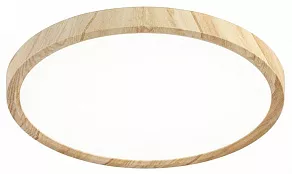 Накладной светильник Citilux Бейсик CL738242V