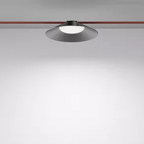 Подвесной светильник Maytoni Campana TR127B-12W4K-B