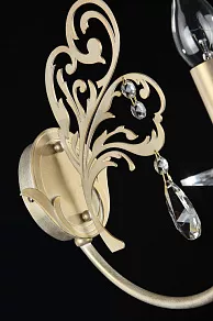 Бра Maytoni Salute ARM005-01-G