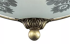 Накладной светильник Odeon Light Aspena 2776/1W
