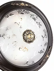 Накладной светильник Odeon Light Corbea 2671/2C